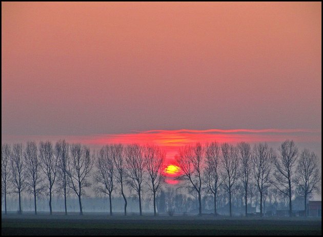 Red, Rouge & Rosso