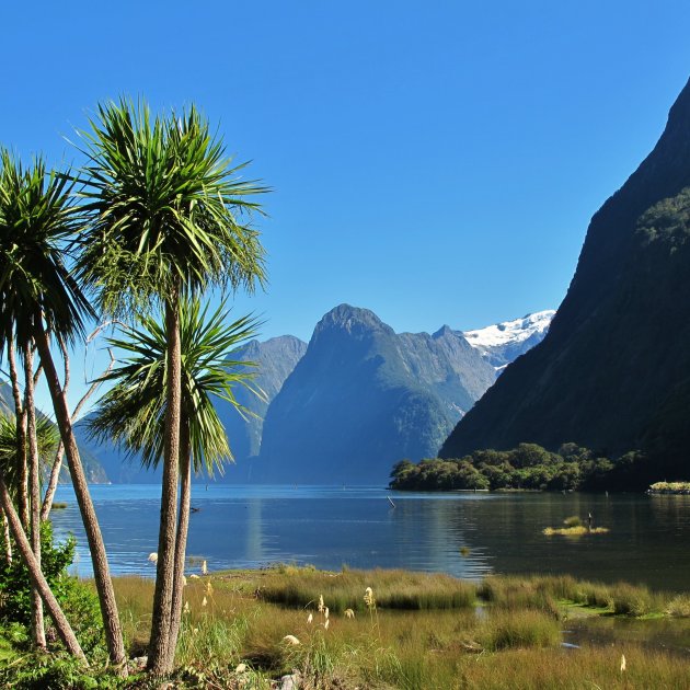 Milford Sound