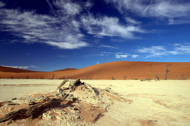 DEADVLEI