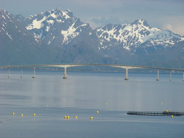 eiland hoppen lofoten