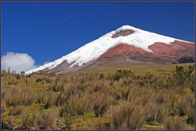 Cotopaxi