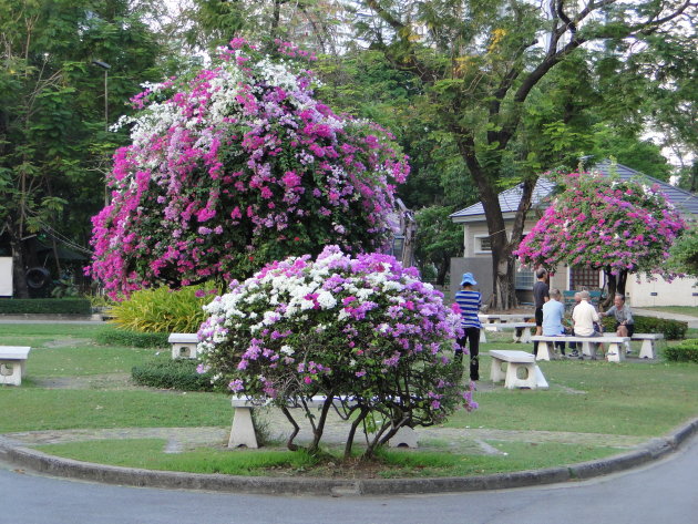 ochtend in Lumpinipark