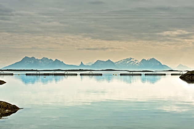 Vis kwekerijen op de Lofoten eilanden. 