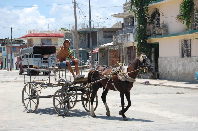 Paard en wagen