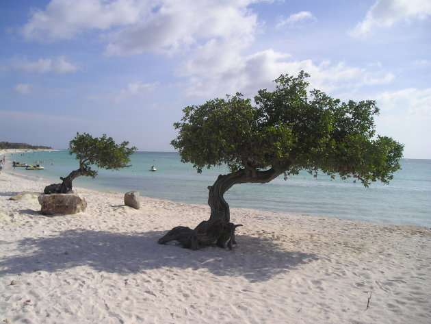 strand aruba