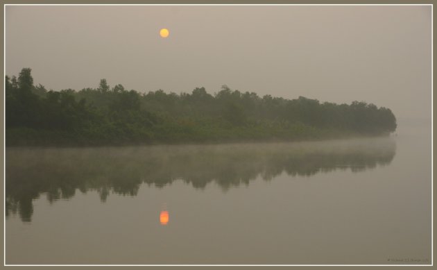 Misty morning