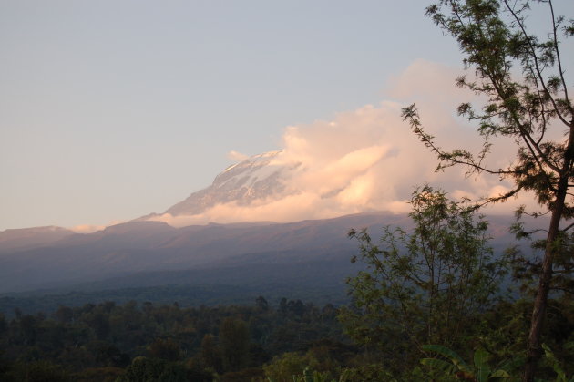 Kilimanjaro!