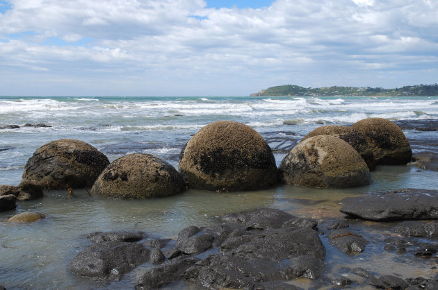 Moerakie boulders