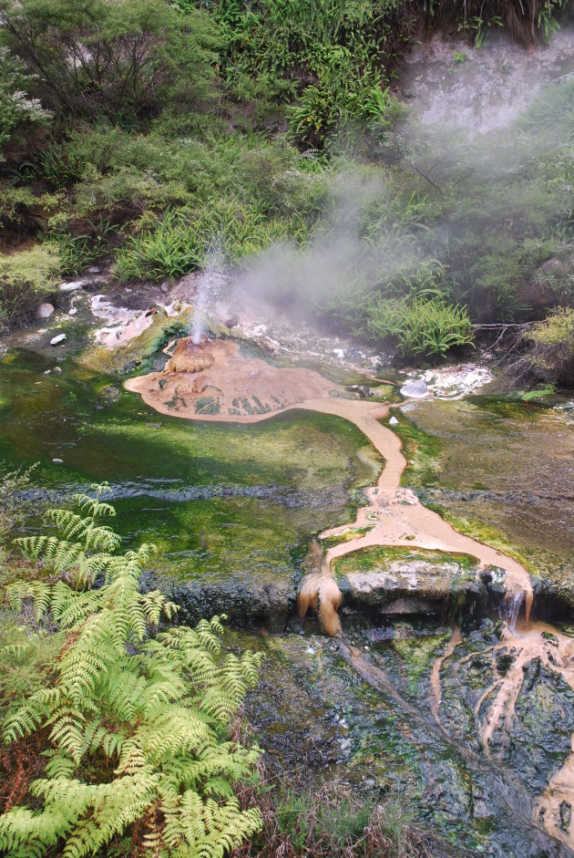 Waimangu volcanic valley