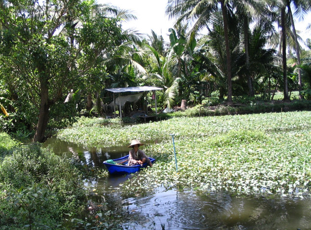 Ook dit is Bangkok......