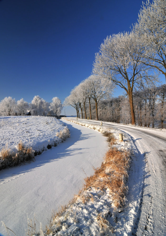 Witte wereld