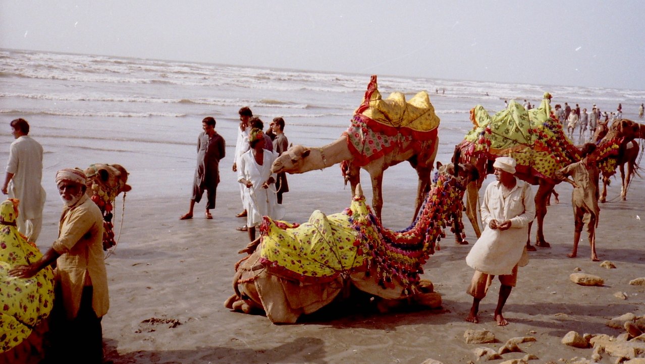 Kamelen aan het strand Karachi