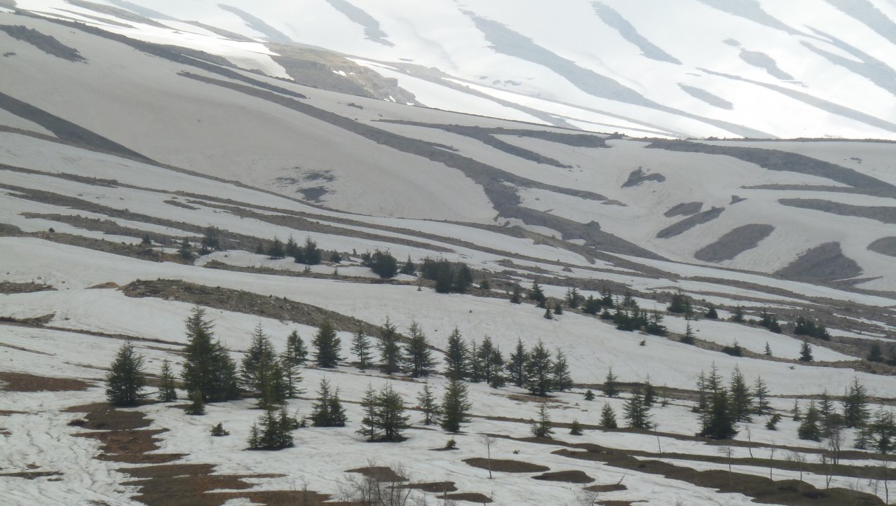 Libanon in de sneeuw!