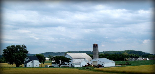 Amish Farm