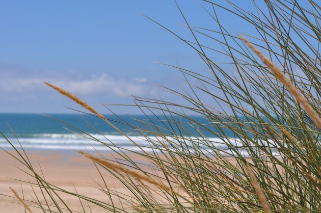 Het strand van Portugal