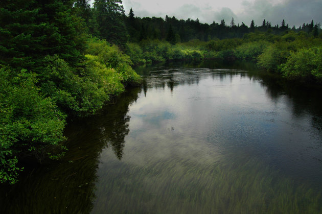 Algonquin Park