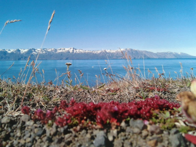 Net buiten het dorp Husavik in Noord	IJsland