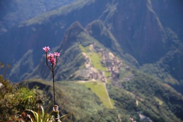 Machu Picchu vanaf grote hoogten