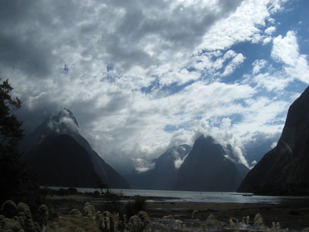  Milford Sounds