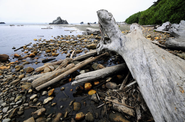 Strand van Zuidelijk Oregon 