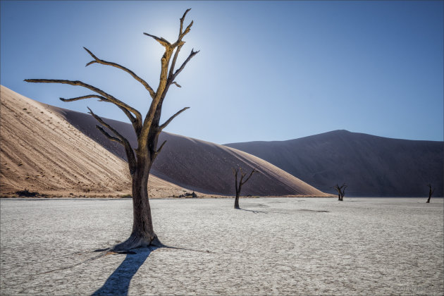 Deadvlei awakenings