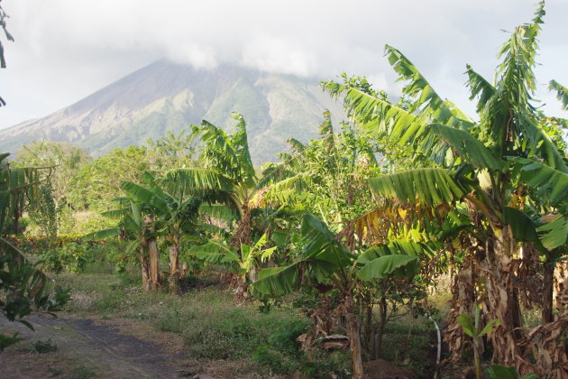 Zicht op de vulkaan Concepcion op Isla de Ometepe