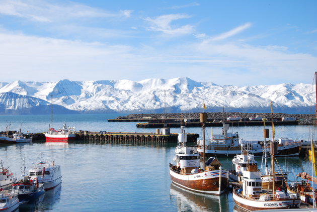 De baai van Husavik - startpunt van de walvissafari