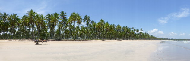 Ilha de Boipeba - Dagelijks transport