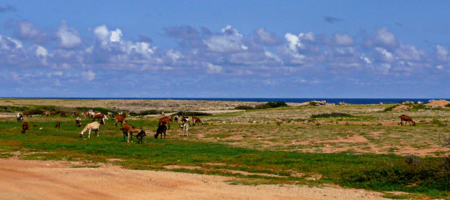 Panorama Geiteneiland