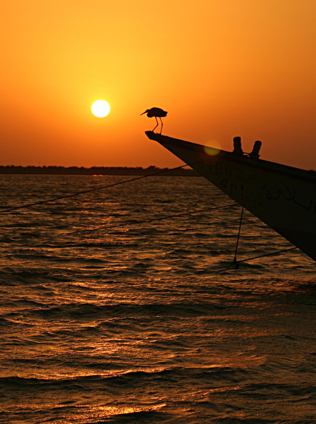 Zonsondergang bij de Rode Zee