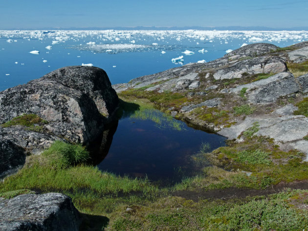 View on Disko Bay