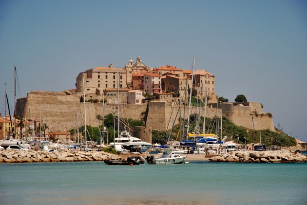 Calvi