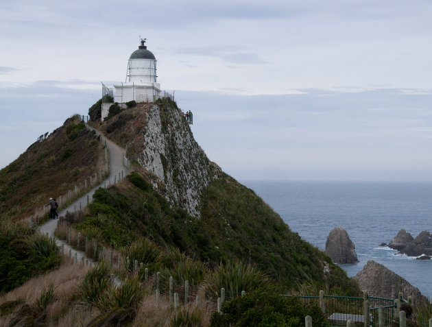 Nugget Point