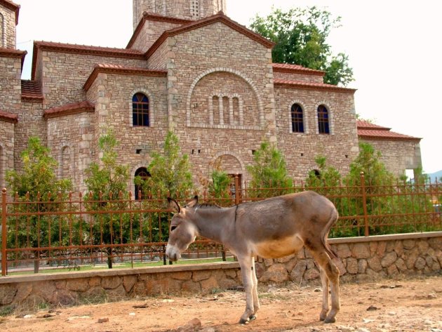 De ezel en de kerk