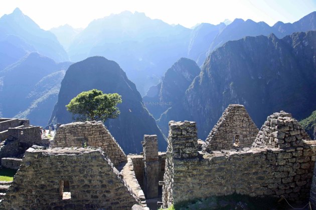 Machu Picchu