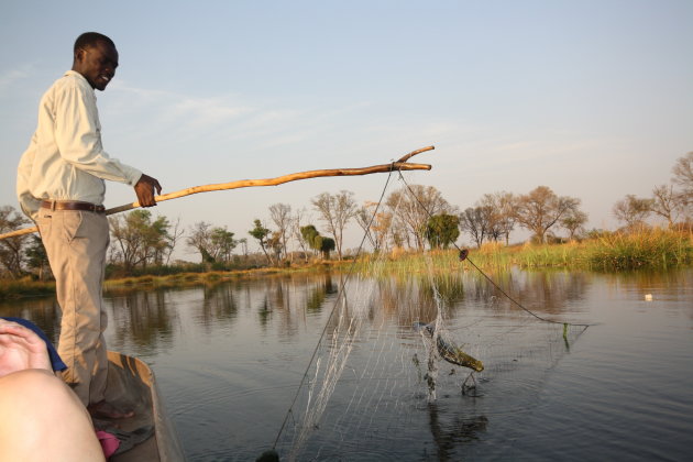Poler laat gevangen vis zien in okavango Delta