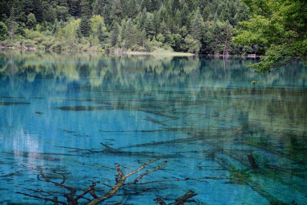 Five flower lake