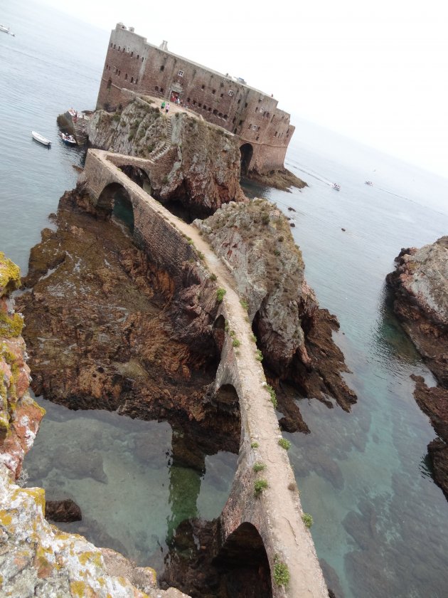 Berlengas Island