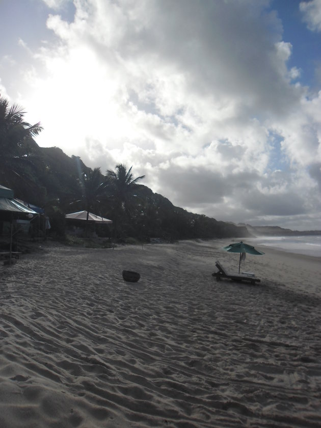 Dolphin Beach BraziliÃ«