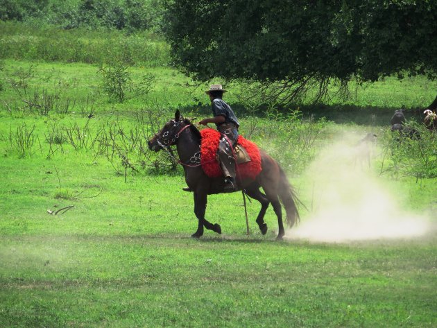 Cowboy met paard 