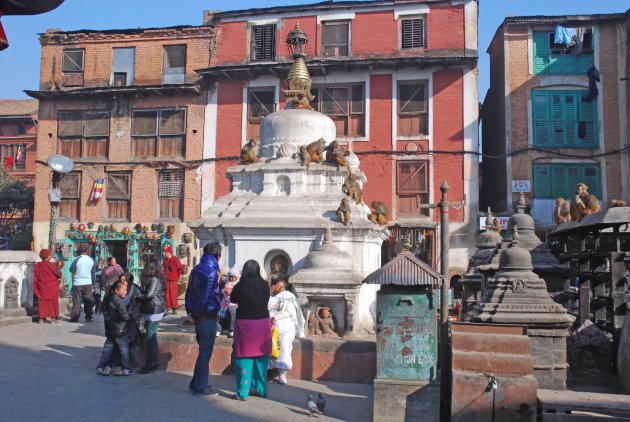  Monkey Temple of Swayambunath met vele makaken