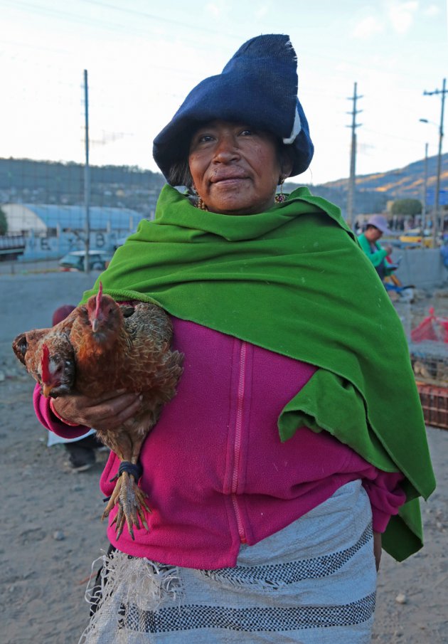 Dierenmarkt Otavalo (1)
