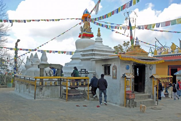 Stoepa bij Thrangu Tashi Yangtse Monastery bij Namo Buddha