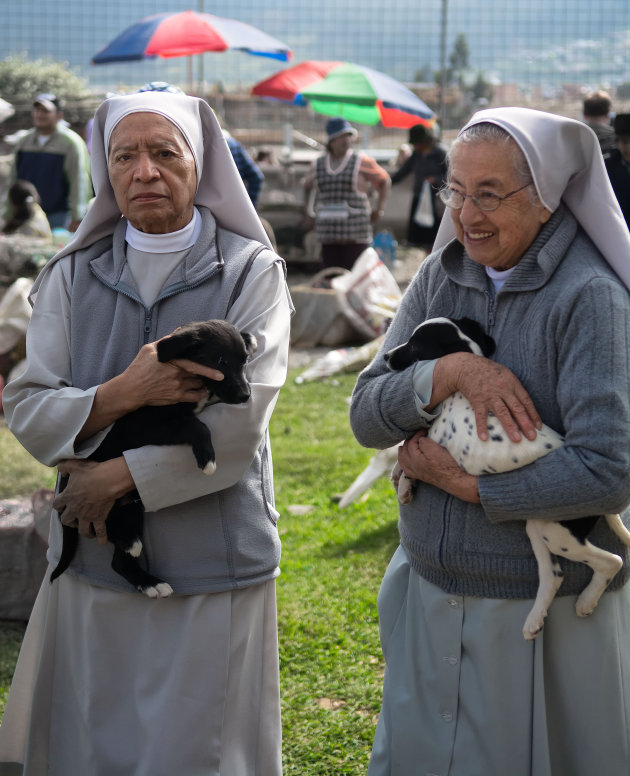 Nonnen kopen puppies op de veemarkt