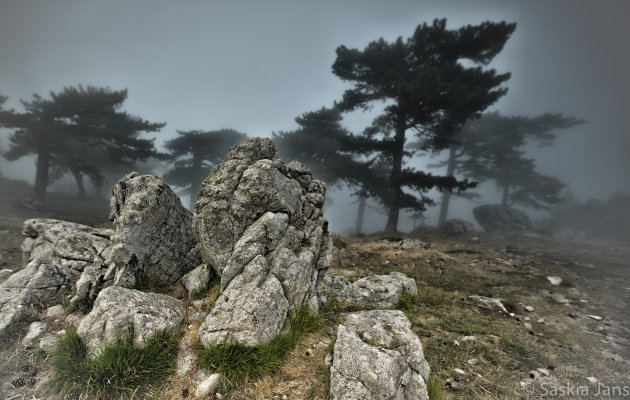 Corsica Col de Bavella in de mist