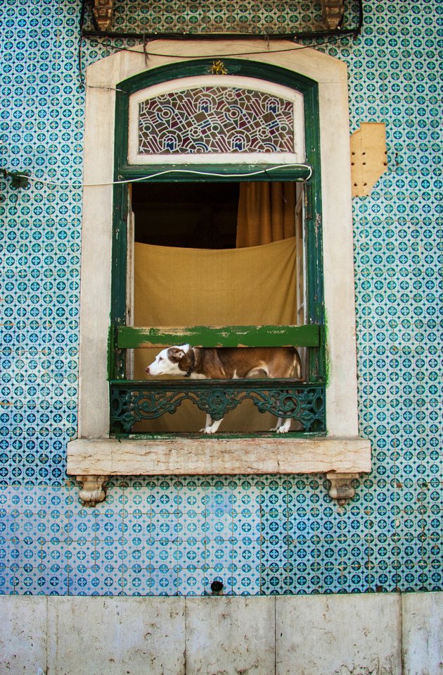 Turquoise azulejos