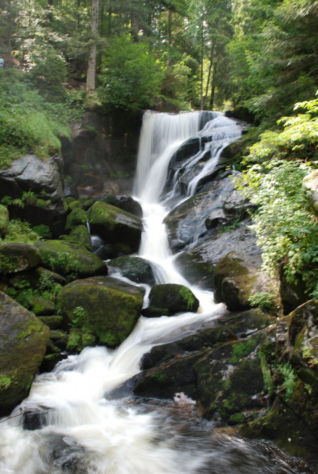 Watervallen van Triberg, Zwarte Woud