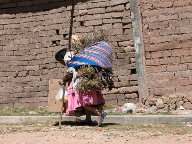 Boliviaanse vrouw