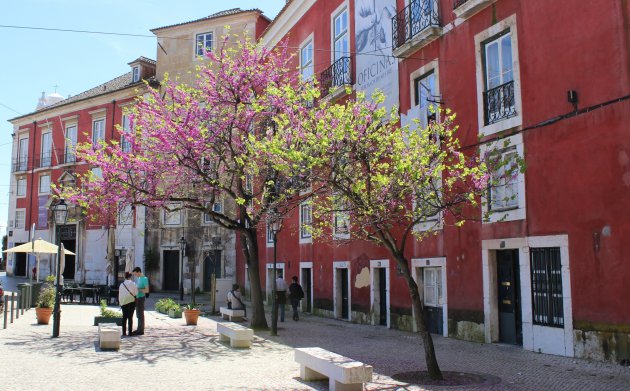 Voorjaar in Lissabon