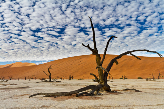 dode vlei onder de wattenwolken